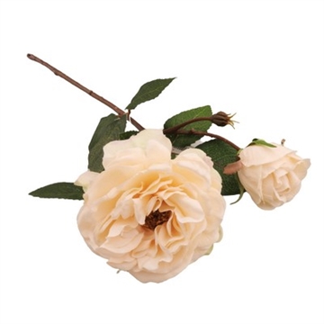 Engelsk rose creme